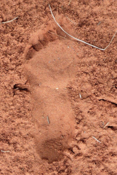 Queensland - Time-Out