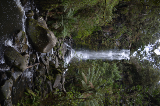 Victoria (Australië) - Erskine Falls