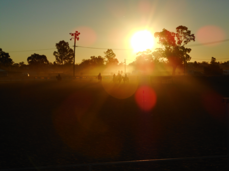 New South Wales - camp draft by sunset