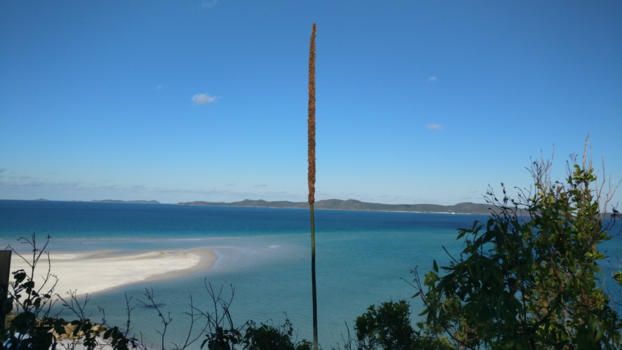 Whitsunday Islands - Mooiste view ooit!