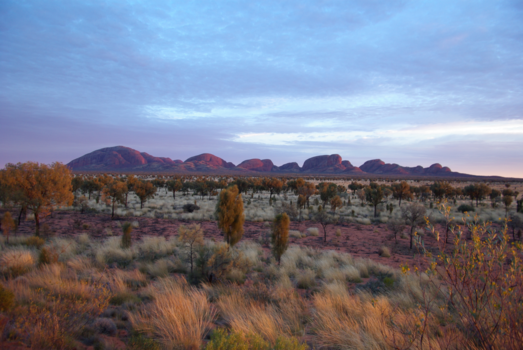 Kata Tjuta (The Olgas) - Sunrise Kata Tjuta