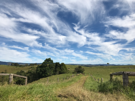 Queensland - Yukaburra