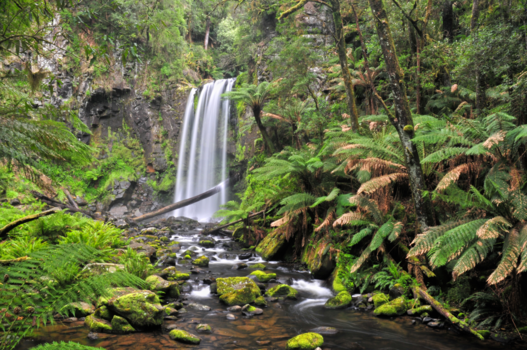 Victoria (Australië) - Hopetoun falls