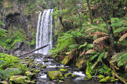 Victoria (Australië) - Hopetoun falls- Victoria