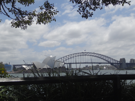 Sydney Harbour Bridge - Sydney’s White Pearl & Harbour bridge