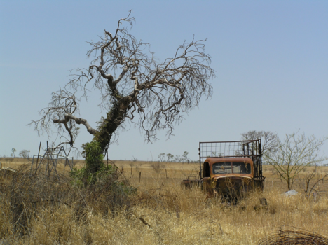 Queensland - Wonen, werken en leven in Queensland outback
