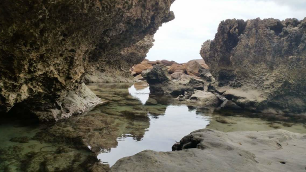 Kangaroo Island - Stokes bay