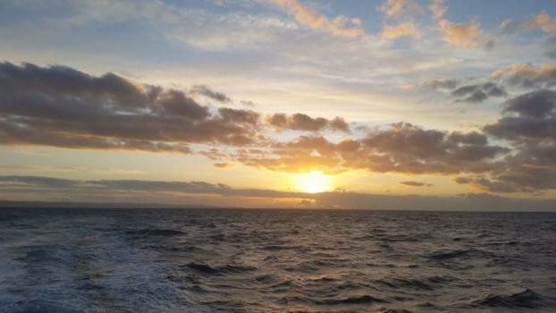 Kangaroo Island - Boottochtje