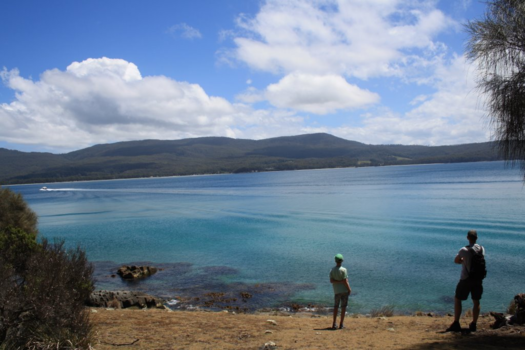 Tasmanië - Bruny Island Tasmania
