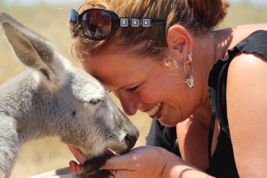 Victoria (Australië) - Totally in love with this Kangaroo in Phillip Island Australia!