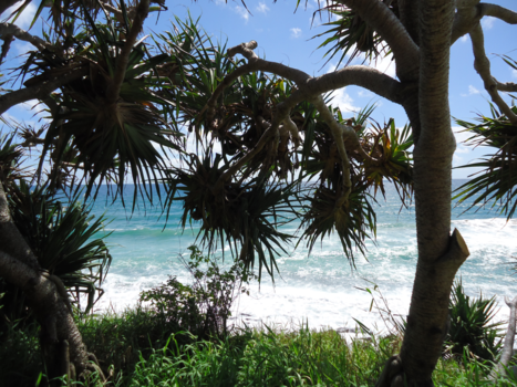 Queensland - This must be Paradise on earth