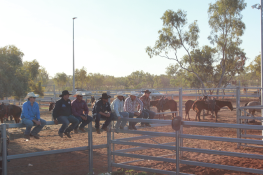 Queensland - Country life