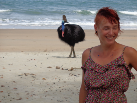 Queensland - casuaris