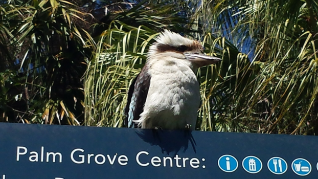 Royal Botanic Gardens en The Domain - Goedemorgen.