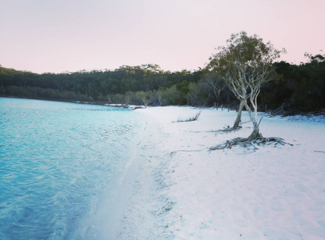 K'Gari (voorheen Fraser Island) - Fraser island