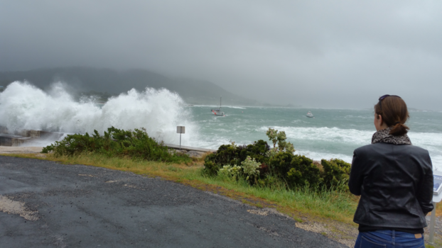 Tasmanië - Some rain and lots of wind