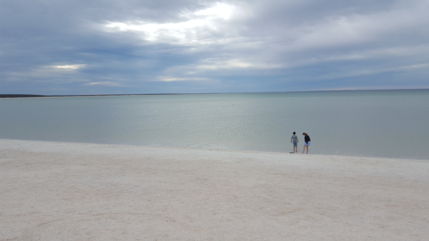 Shark Bay - Shell Beach @SharkBay