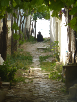 Albany - De dame en een kat