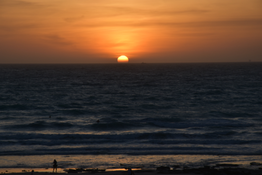 Western Australia - Sunset Broom australia