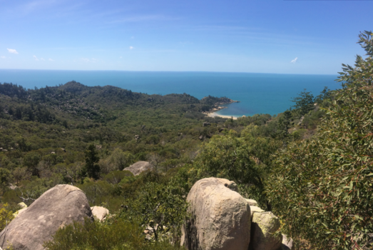 Rondreis oostkust Australië