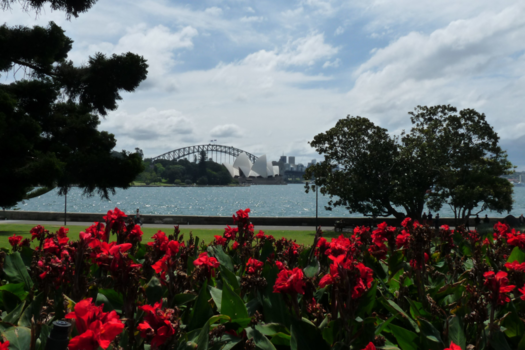 New South Wales - Sidney Opera House, a view from the botanical garden