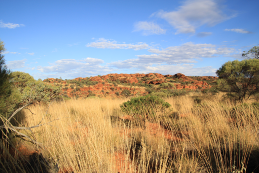 Alice Springs - <3