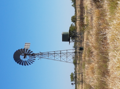 Queensland - Windmolen