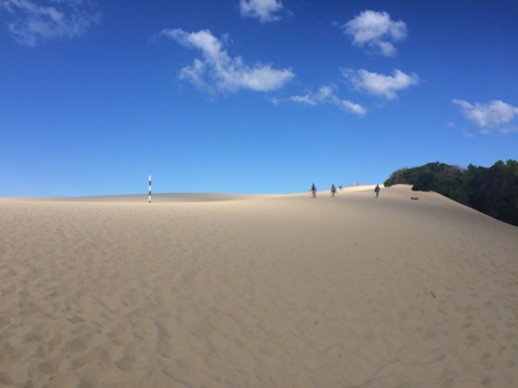 Queensland - Where the blue meets the beige