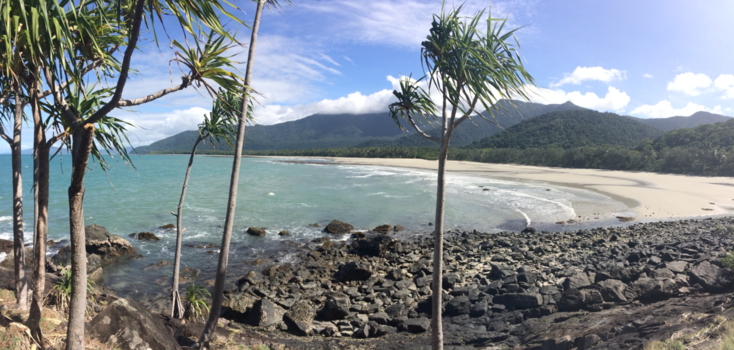 Cape Tribulation - Cape Tribulation