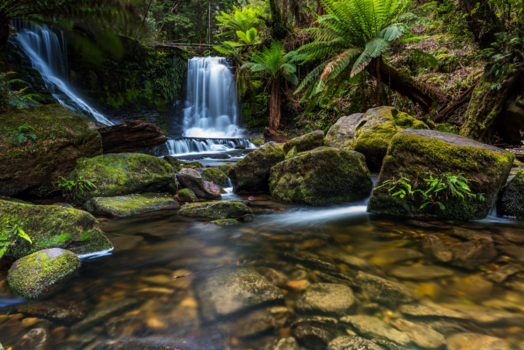 Tasmanië - Waterval van zijde