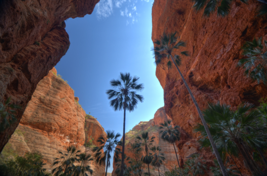 Western Australia - Purnululu National park