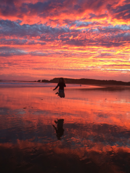 Great Ocean Road - The endless amazing Australian nature
