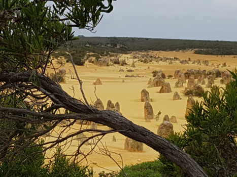Nambung National Park (The Pinnacles) - The Pinnacles West Australie