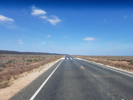 South Australia - Schijn bedriegt op The Nuallarbor plain. In niemandsland een zebrapad? Neen hoor.....