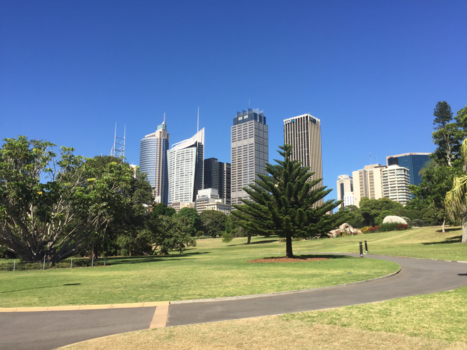 Sydney - CBD vanaf het park