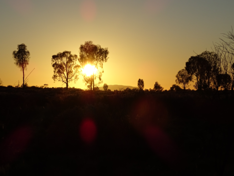 Uluru (Ayers Rock) - Zonsopgang bij Uluru, Australie