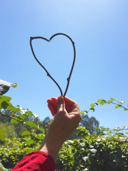 Melbourne - Kiwi farm love 💚