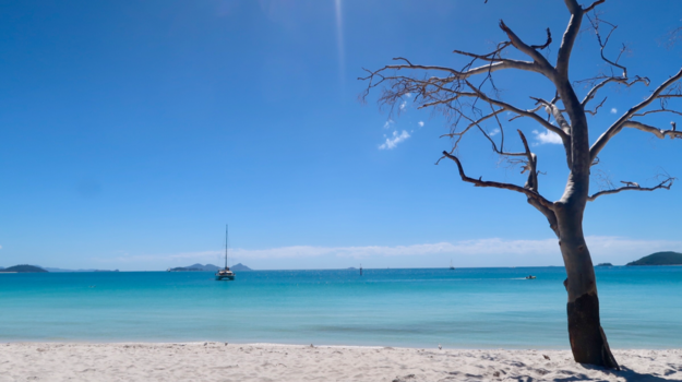 Whitsunday Islands - Een van de mooiste eilanden ter wereld. Whitsunday!
