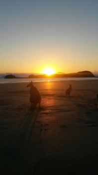 Queensland - Sharing a unique sunrise