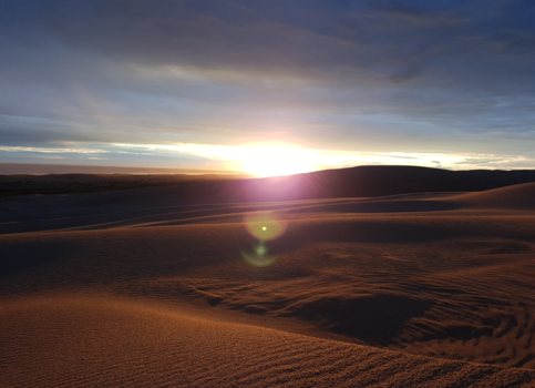Port Stephens - Subset in the desert
