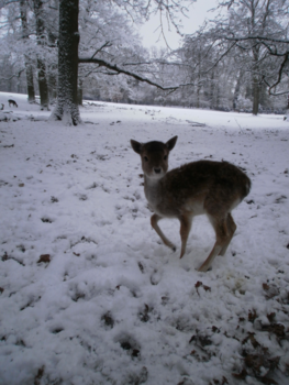 Arnhemland - Ik ben al 25 jaar niet op vakantie geweest. Dit is een foto uit Arnhem.