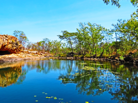 Western Australia - charnley river