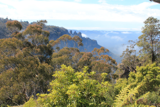 Blue Mountains - Blue Mountains - Spring is in the air
