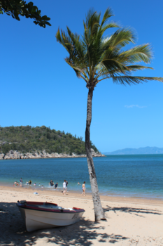 Magnetic Island - Maggie