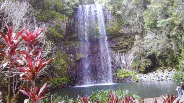Queensland - Prachtige Millaa Millaa Falls