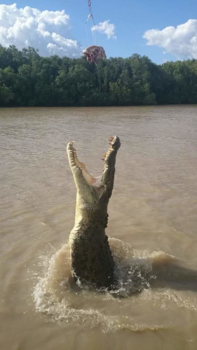 Northern Territory - Dinner with dinosaurs