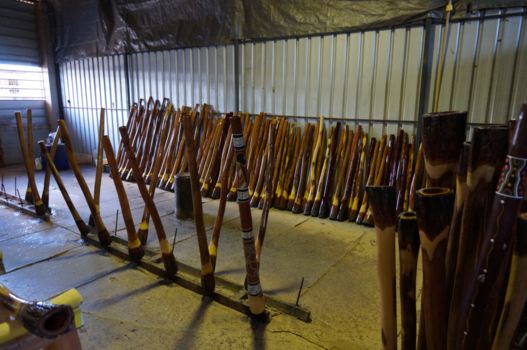 Reisroute dwars door de Outback - Didgeridoo workshop Mareeba