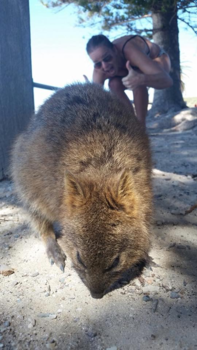 Rottnest Island - Lastig, met zo’n quokka op de foto
