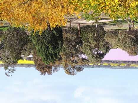 Rondreis westkust Australië - Pink Lake Dimboola, Australië
