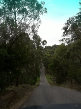 Victoria (Australië) - Bush